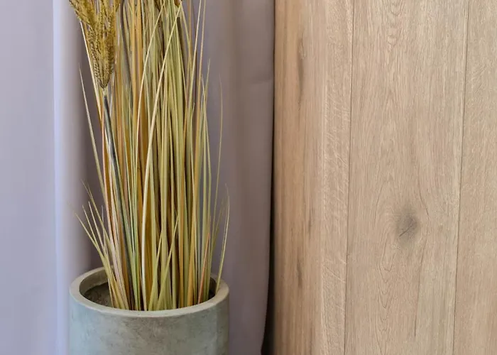 Rest In The Center Spot Daire